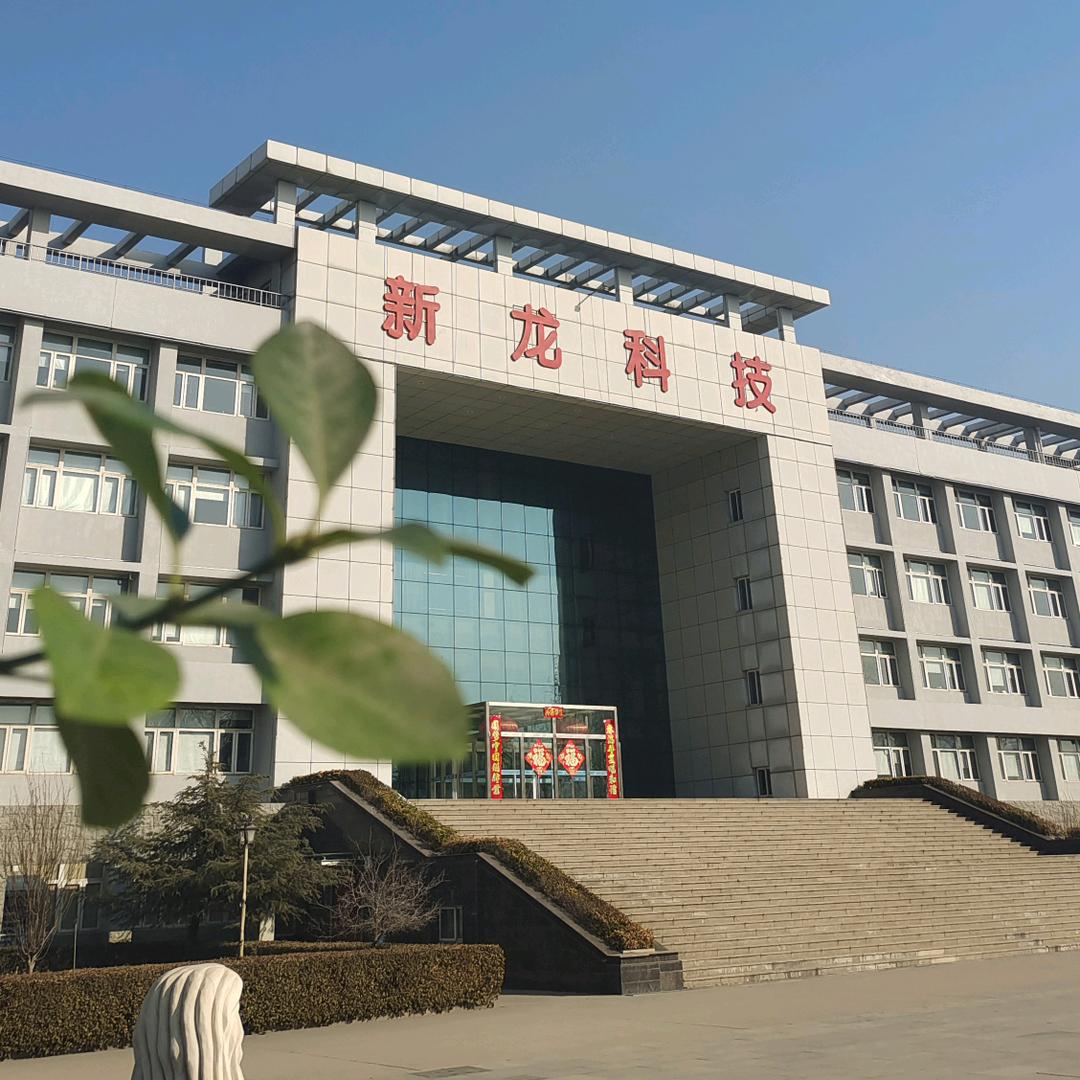 新龙科技集团