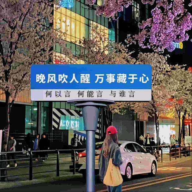 懂你的都懂
