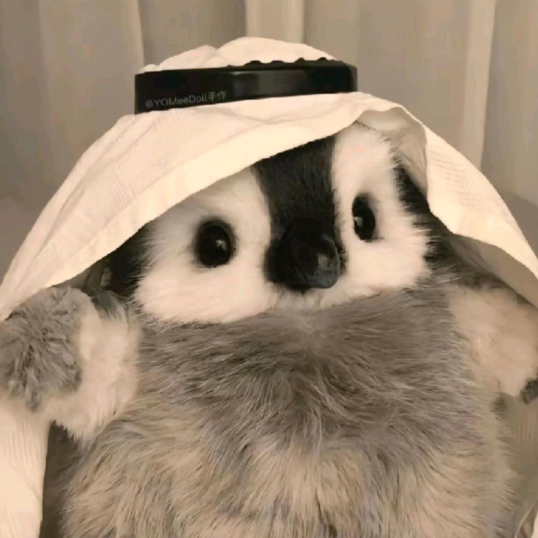 河清冰妍