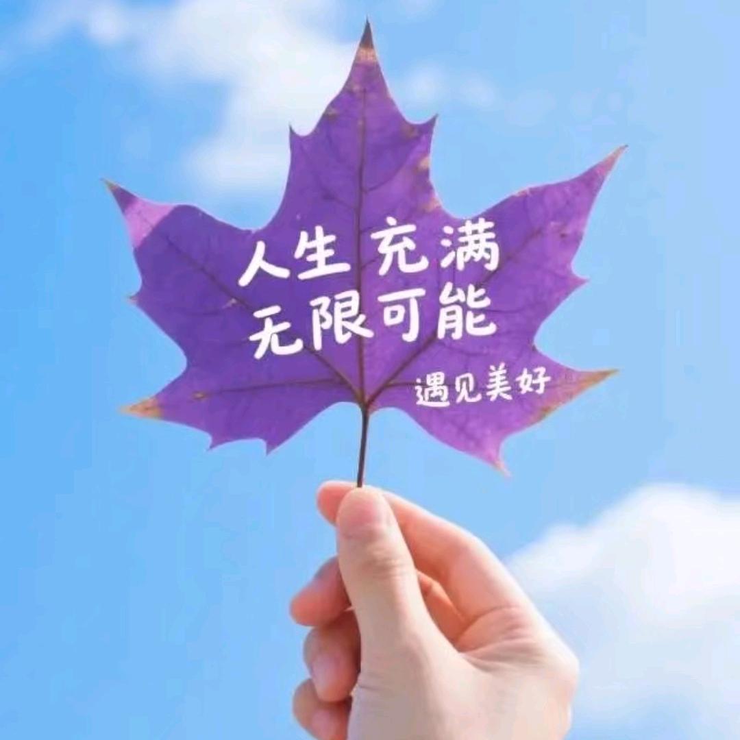 光伏组件批发-小孙