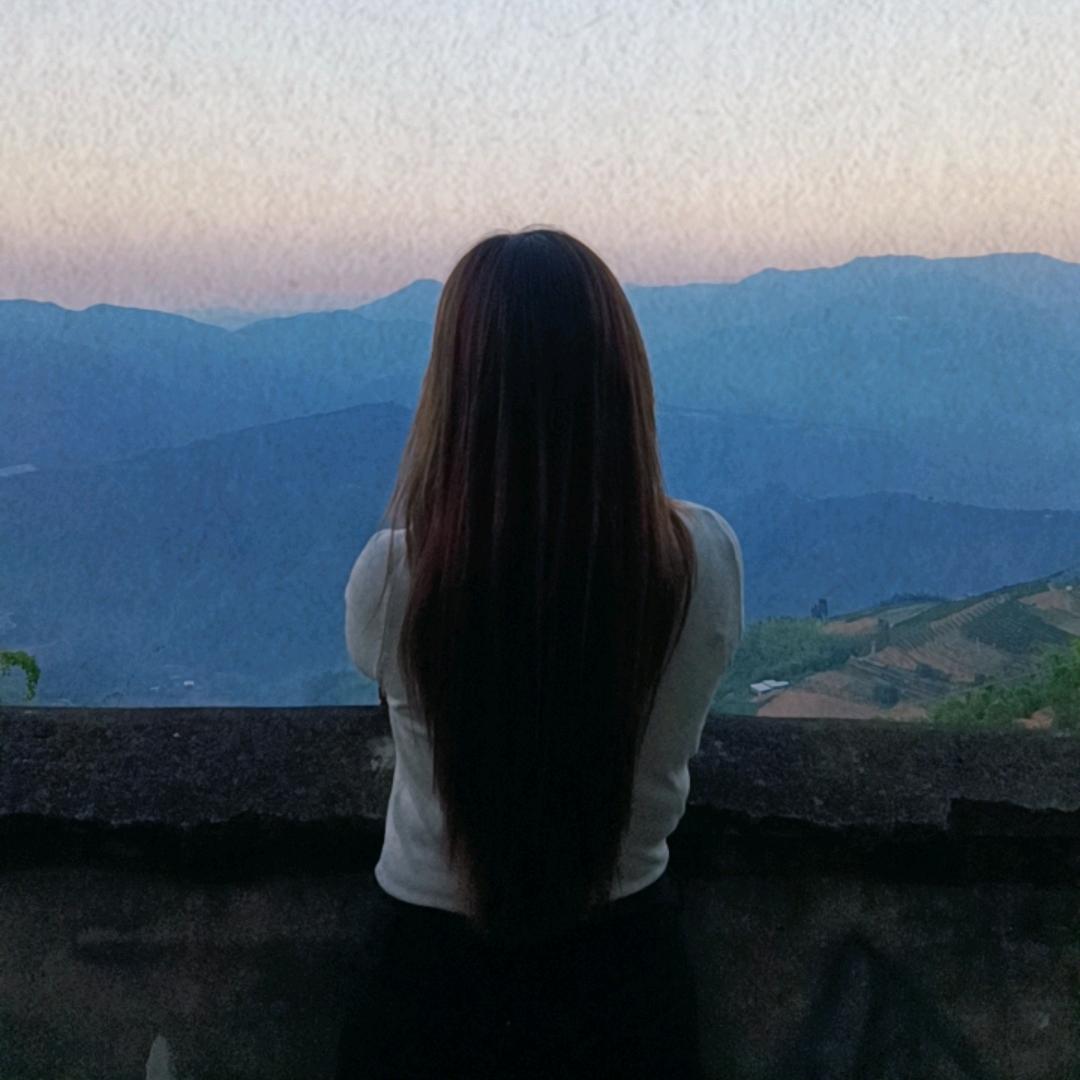 🧚‍♀️陈陈不沉🍊