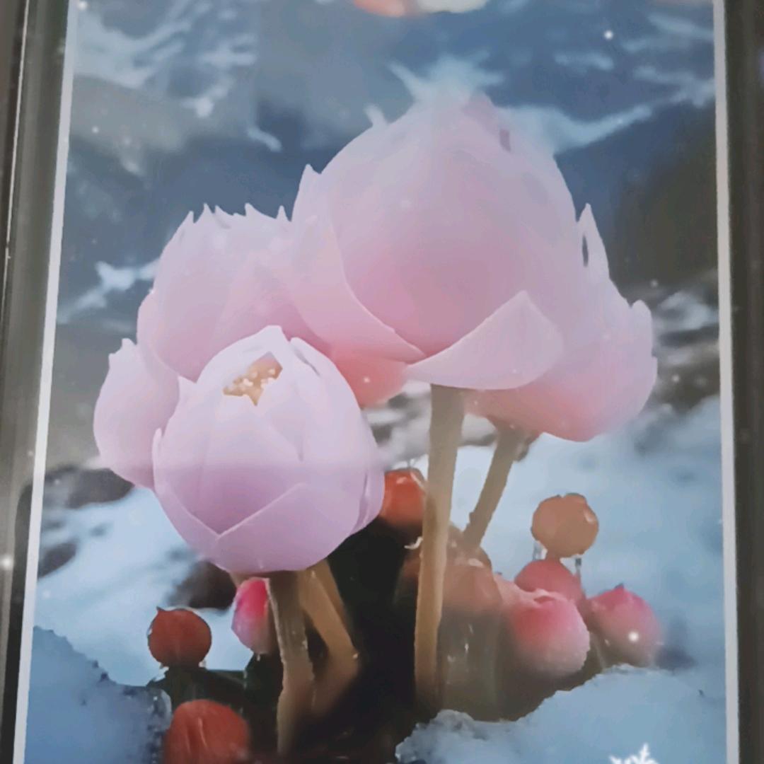 利亚水晶