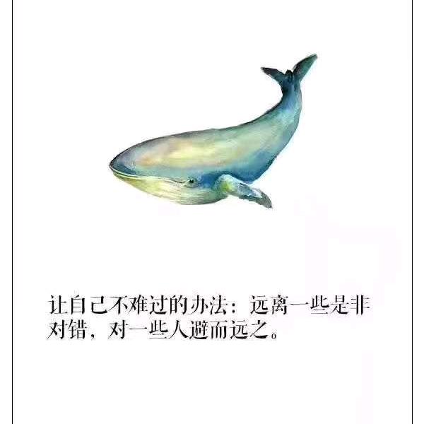 佛缘小姐姐