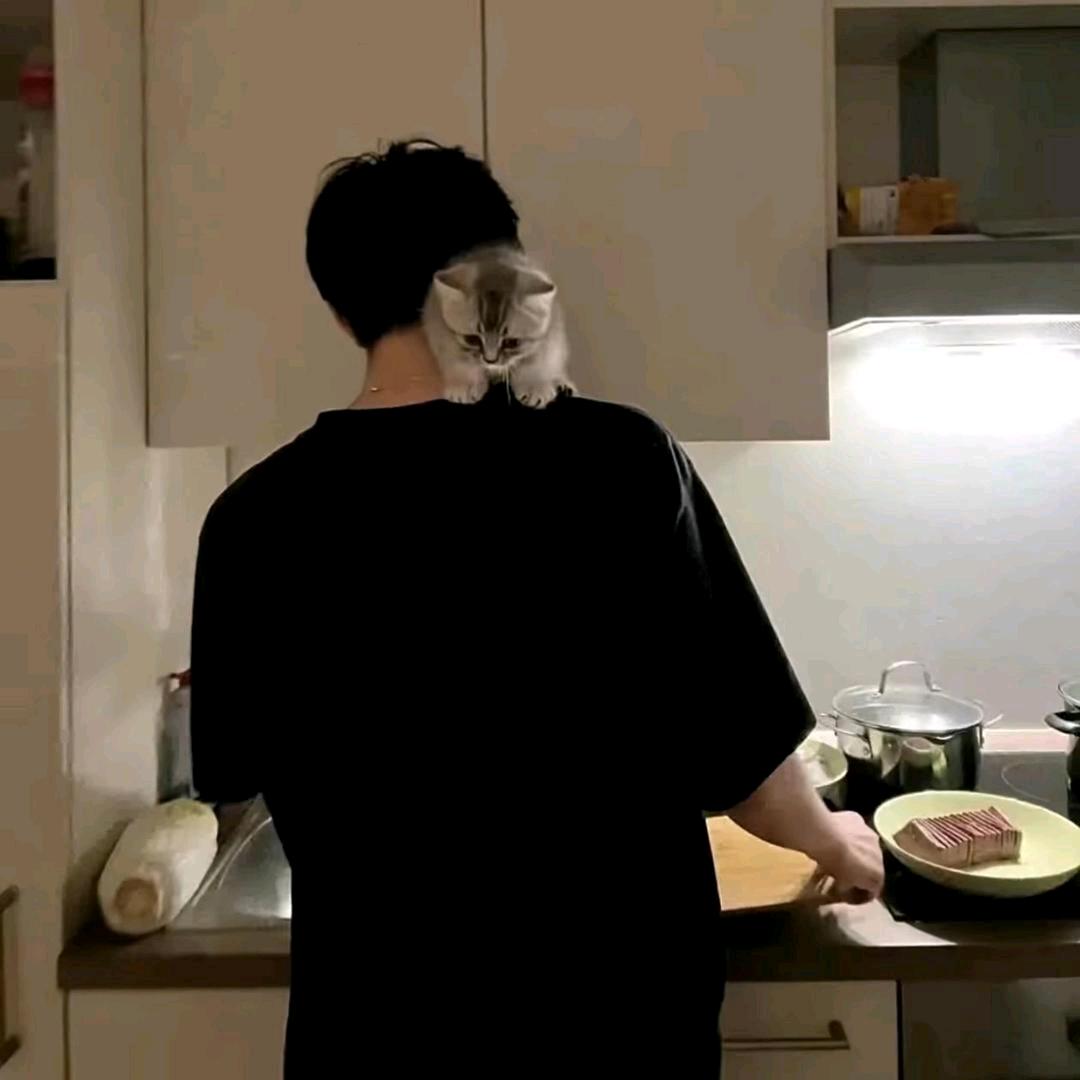 忧郁的崽