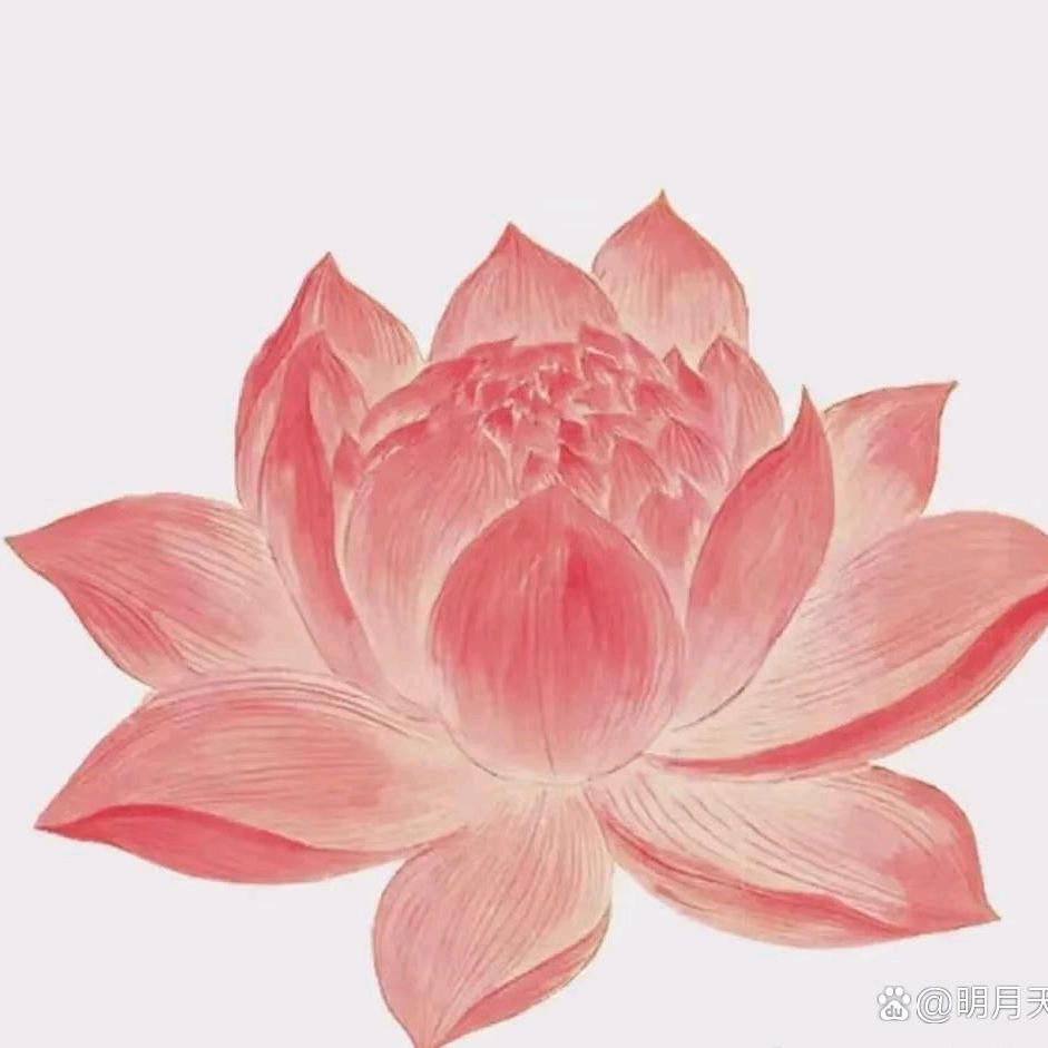 明明