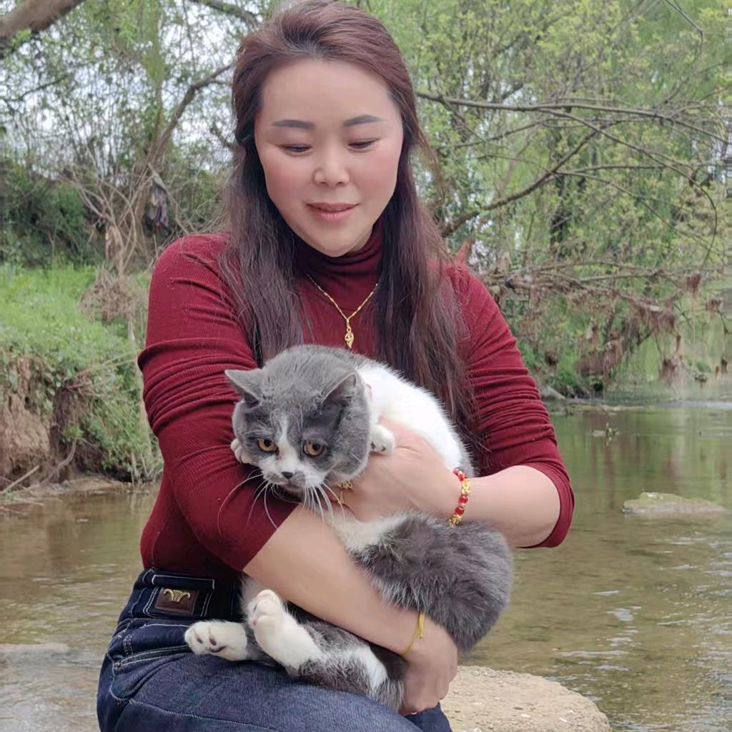 梅姐