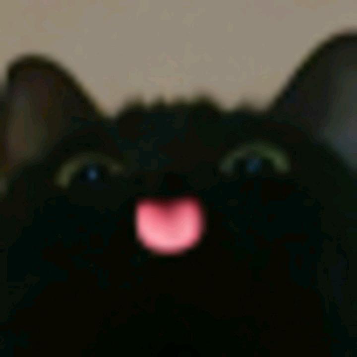 ^遇见你.