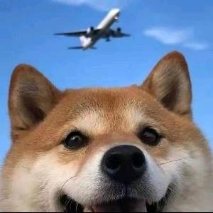 等日落