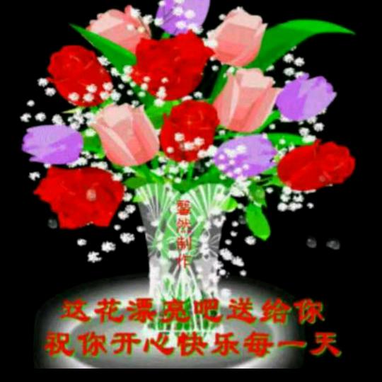 铁公🐔，一毛不拔