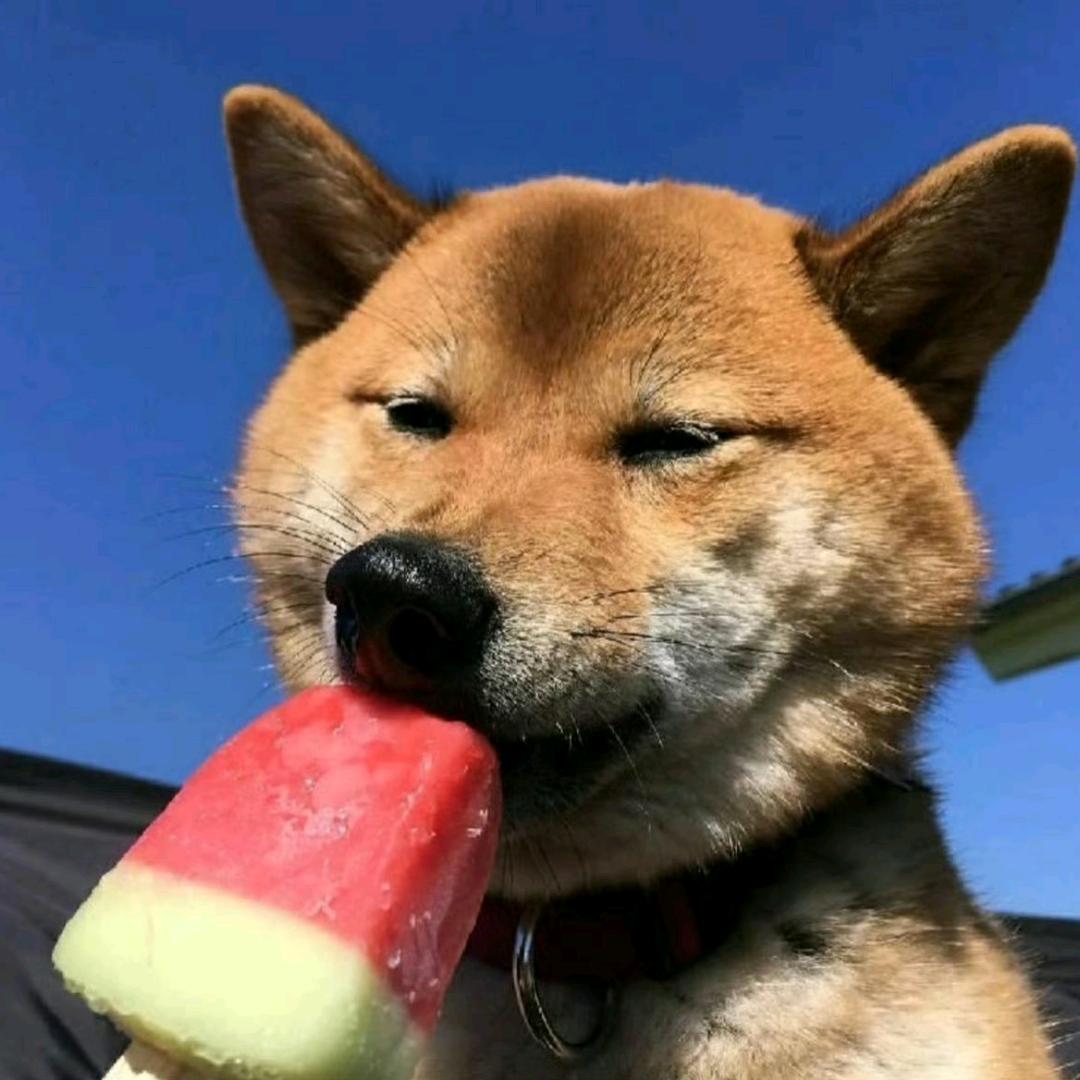 王汪汪