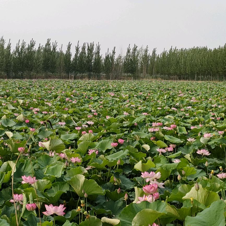 一路风景一路歌！