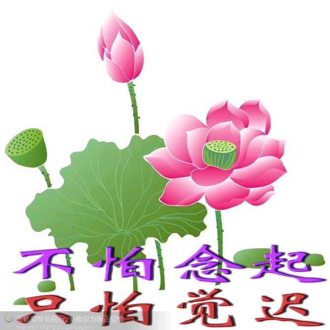 芙蓉.
