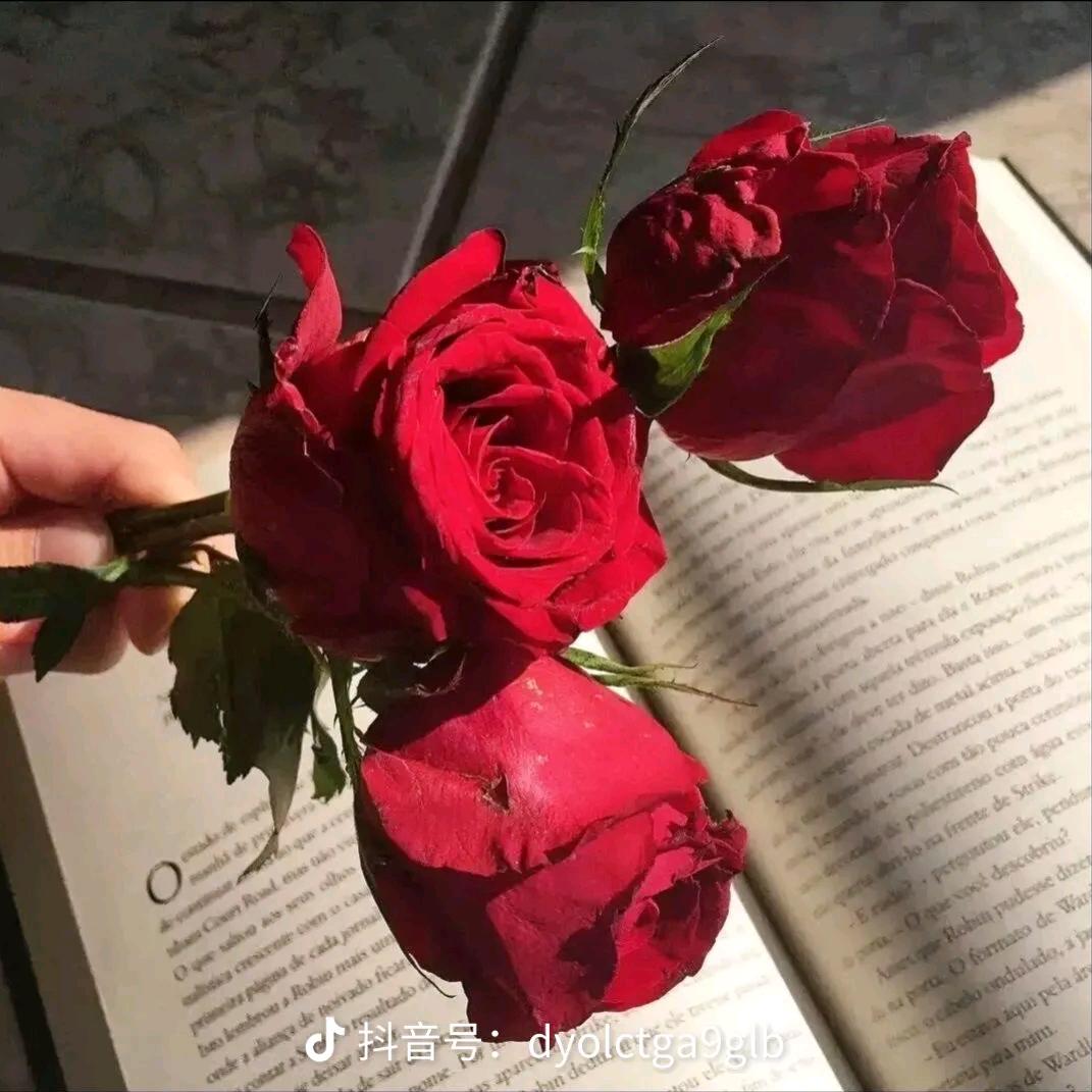 一切随缘💘