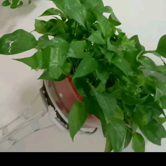 我累了❤️心来疼