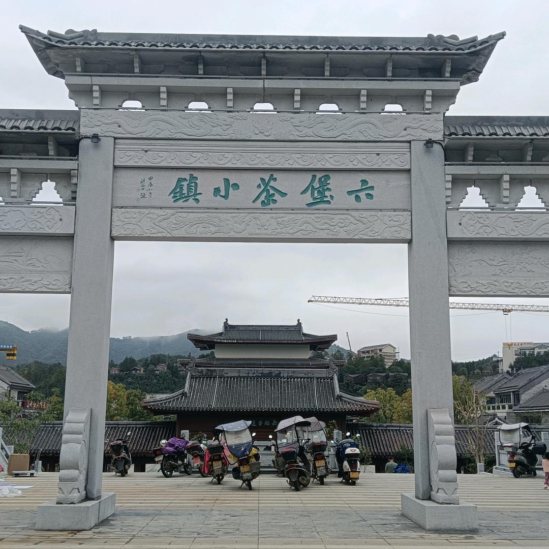 苍顺六堡茶