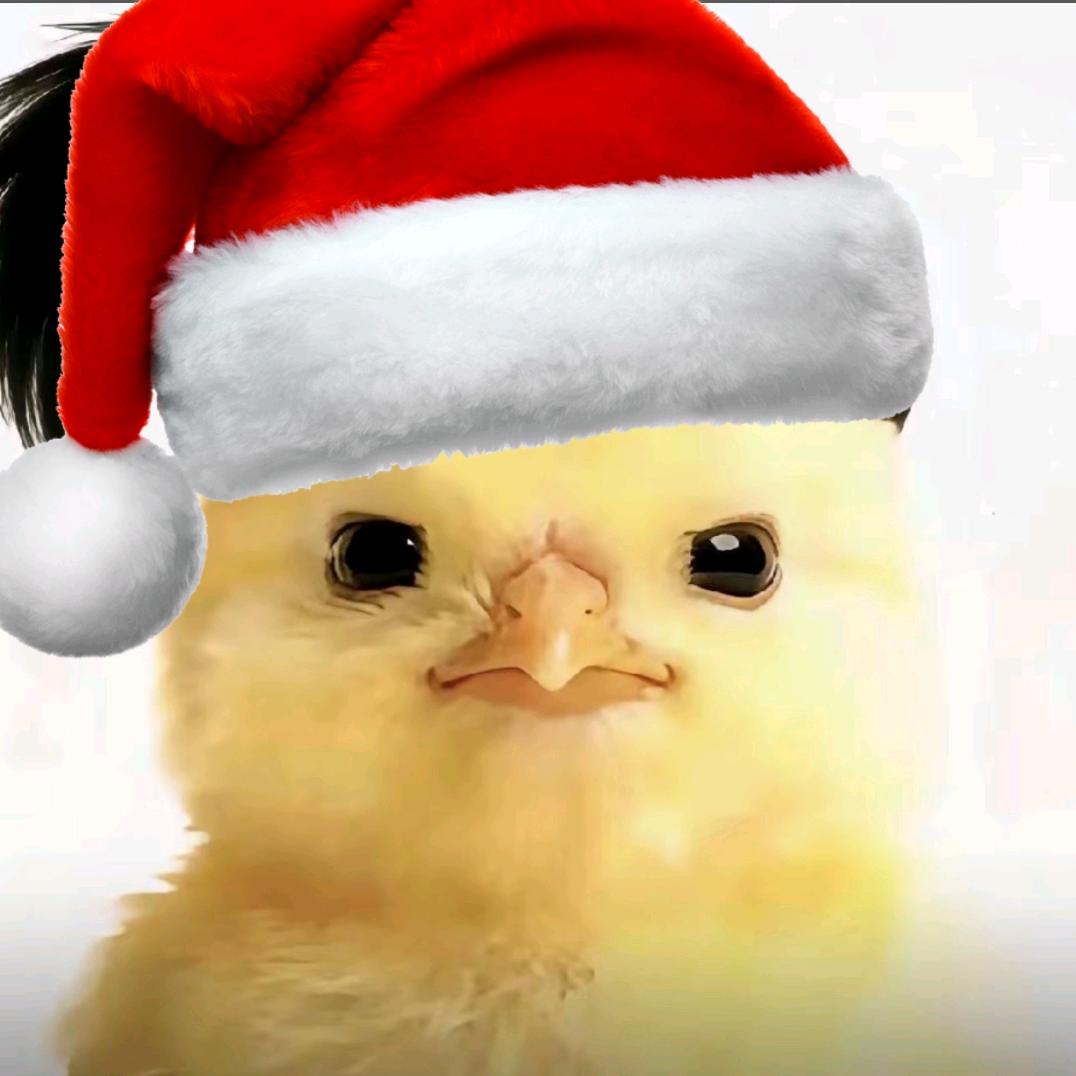 一只萌翻地球的小鸡