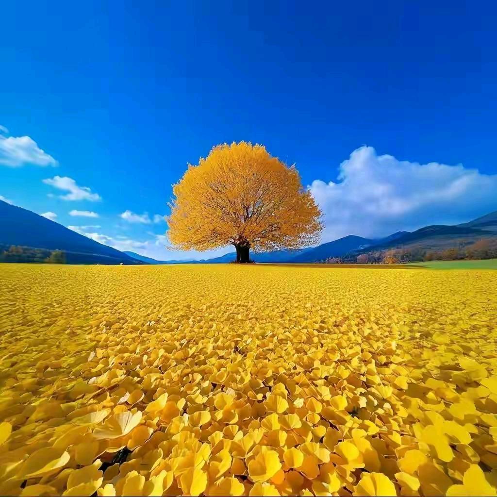 🐉꧁꫞💞缘💞꫞꧂