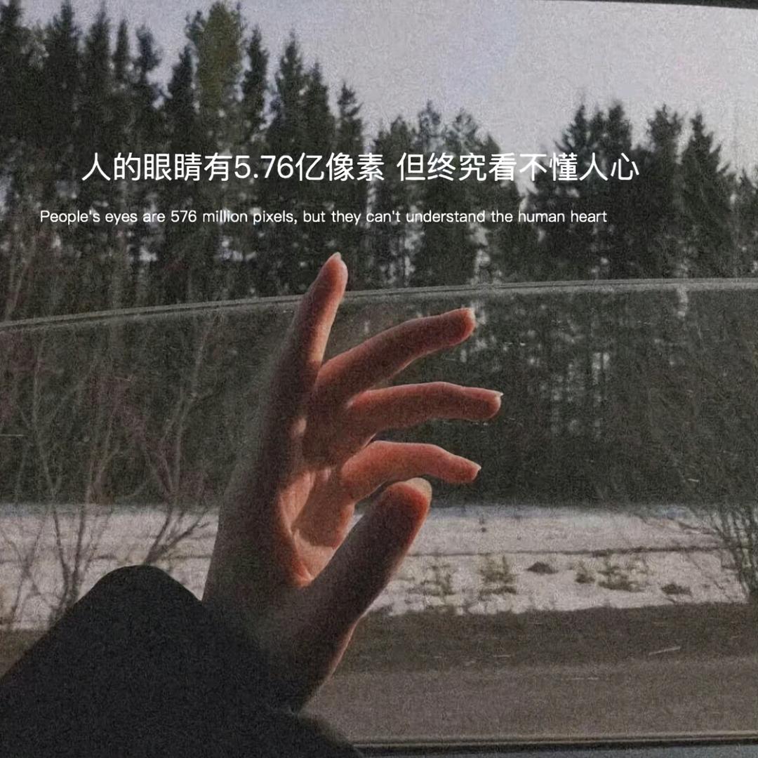 柠檬小橘子🍊