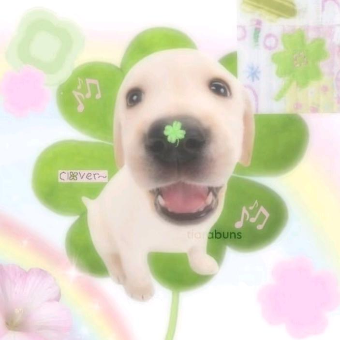 小呆芽🩵头像