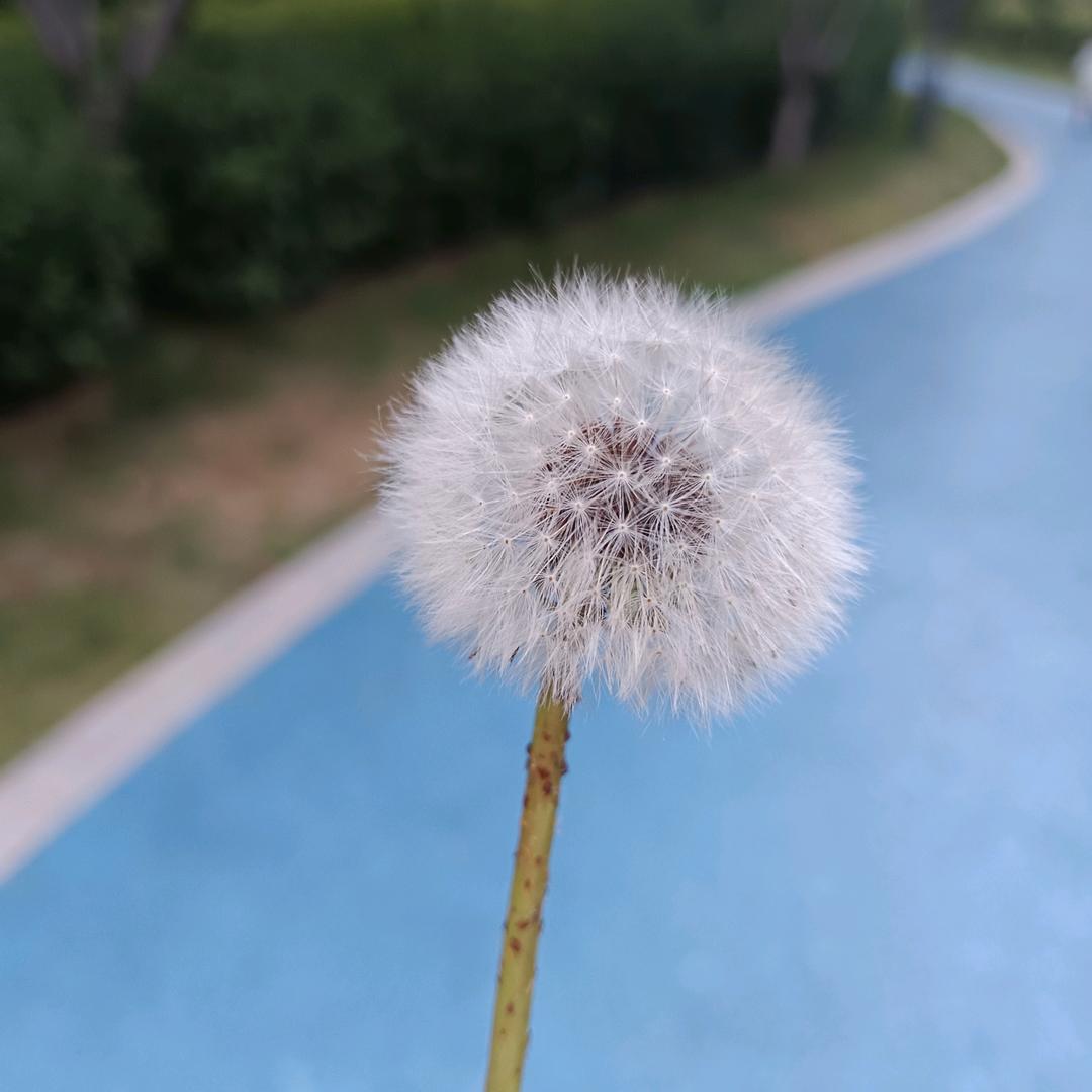 莉莉`