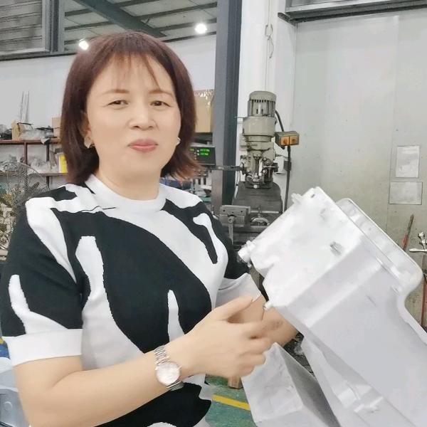 东莞塑胶模具阿蓉