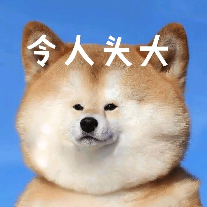 飞机炸弹