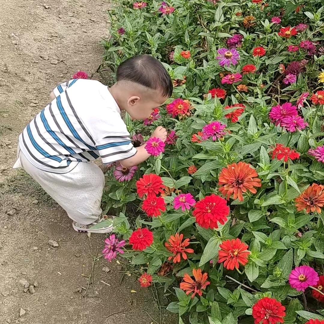 开心快乐❤️❤️🦄🇨🇳