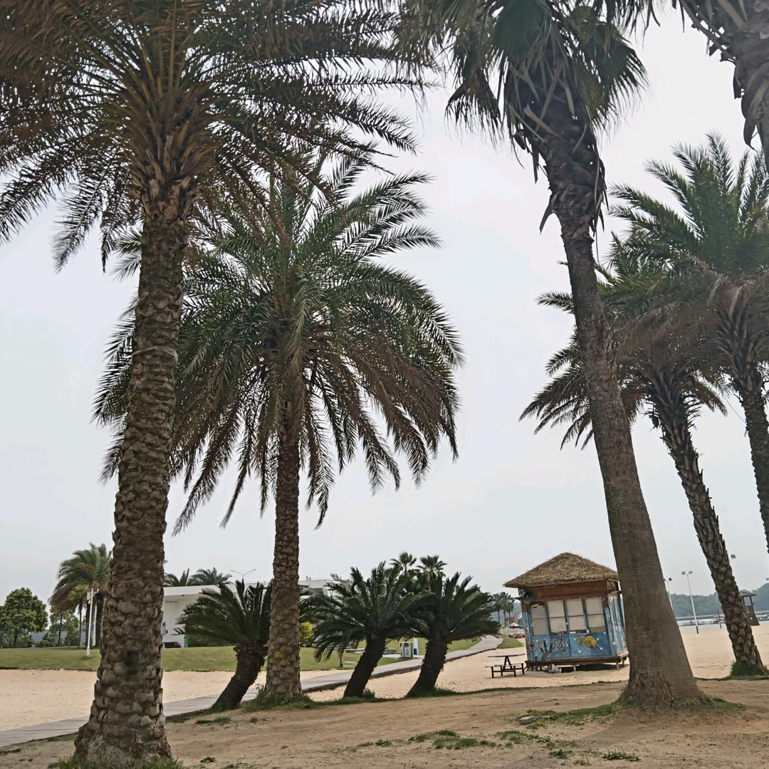 ღ᭄余生安好꧔