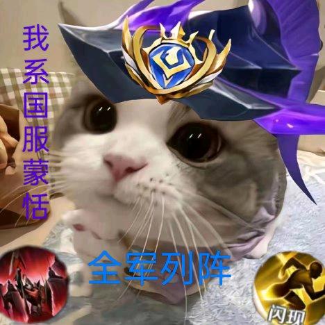 蒙恬大王66