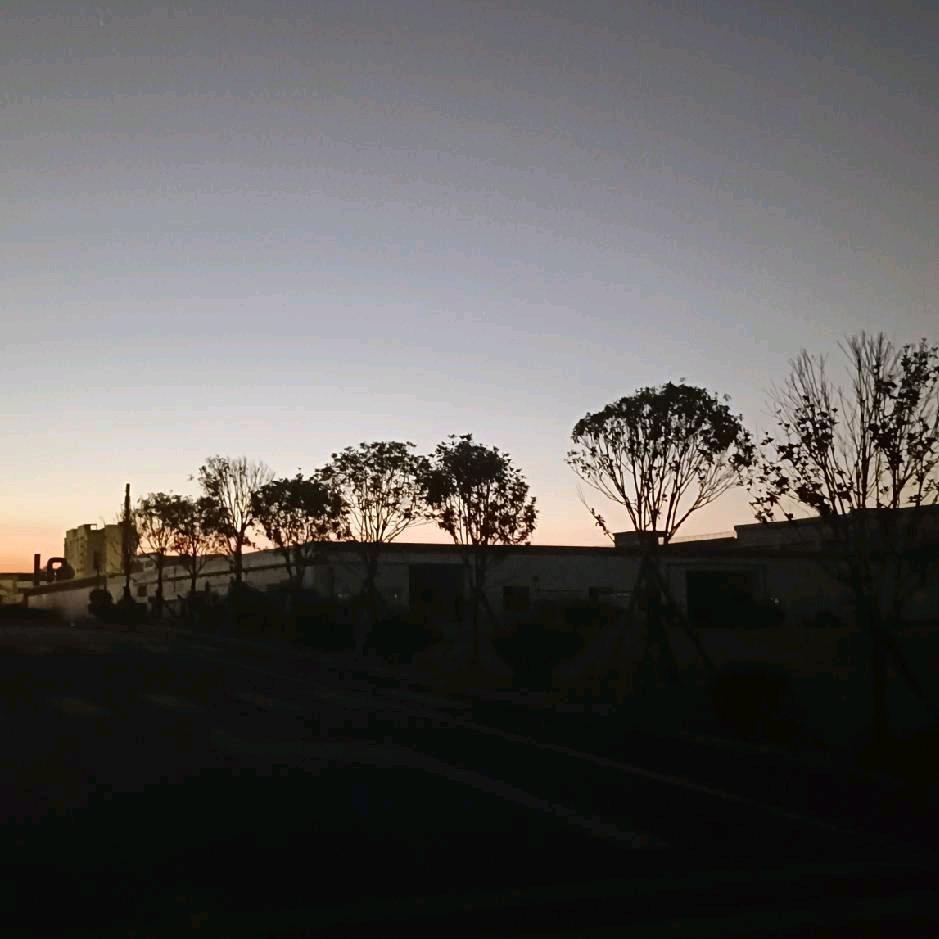 ＆醉^O^红~_~尘＠_