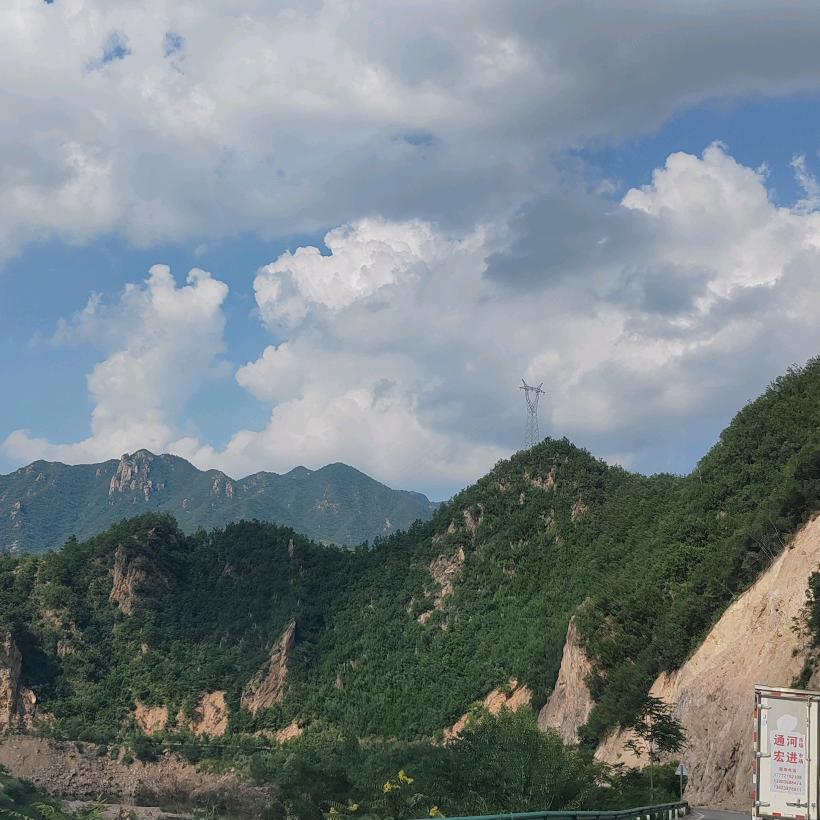 @别拿本菇凉与淑女比