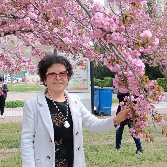慕蓉清苓