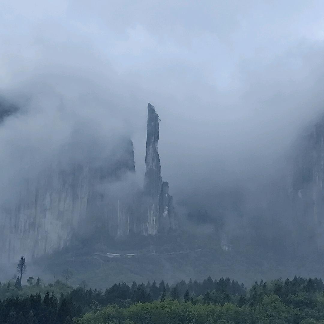 🌳看山非山🌳 看水非水🌳