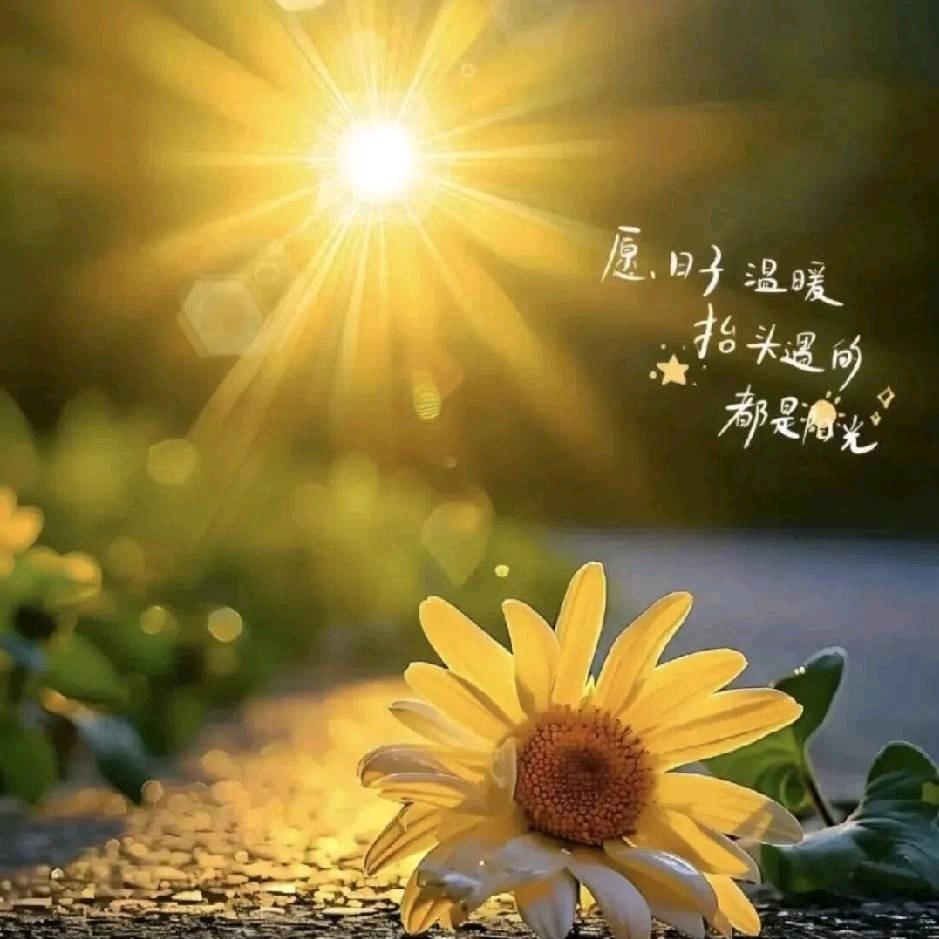林林