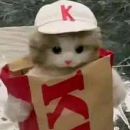 忘嗦鸡爪爪^^