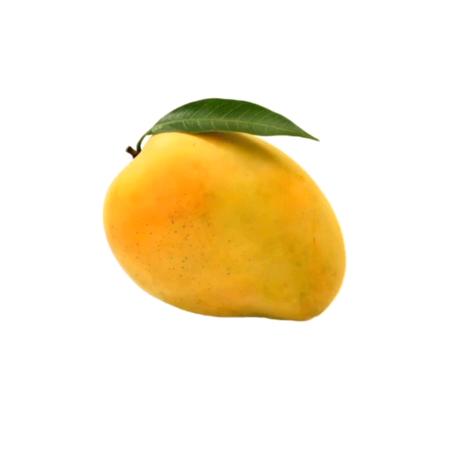 芒果公主
