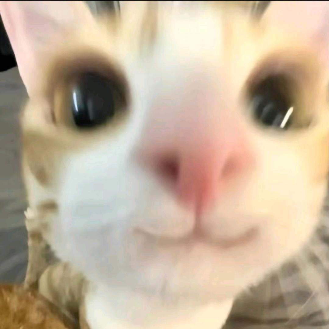 aaa内裤批发刘哥