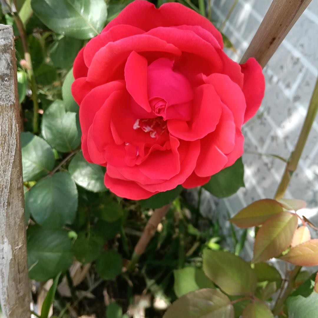 4:/ q%原创视频 %反诈宣传；ббC