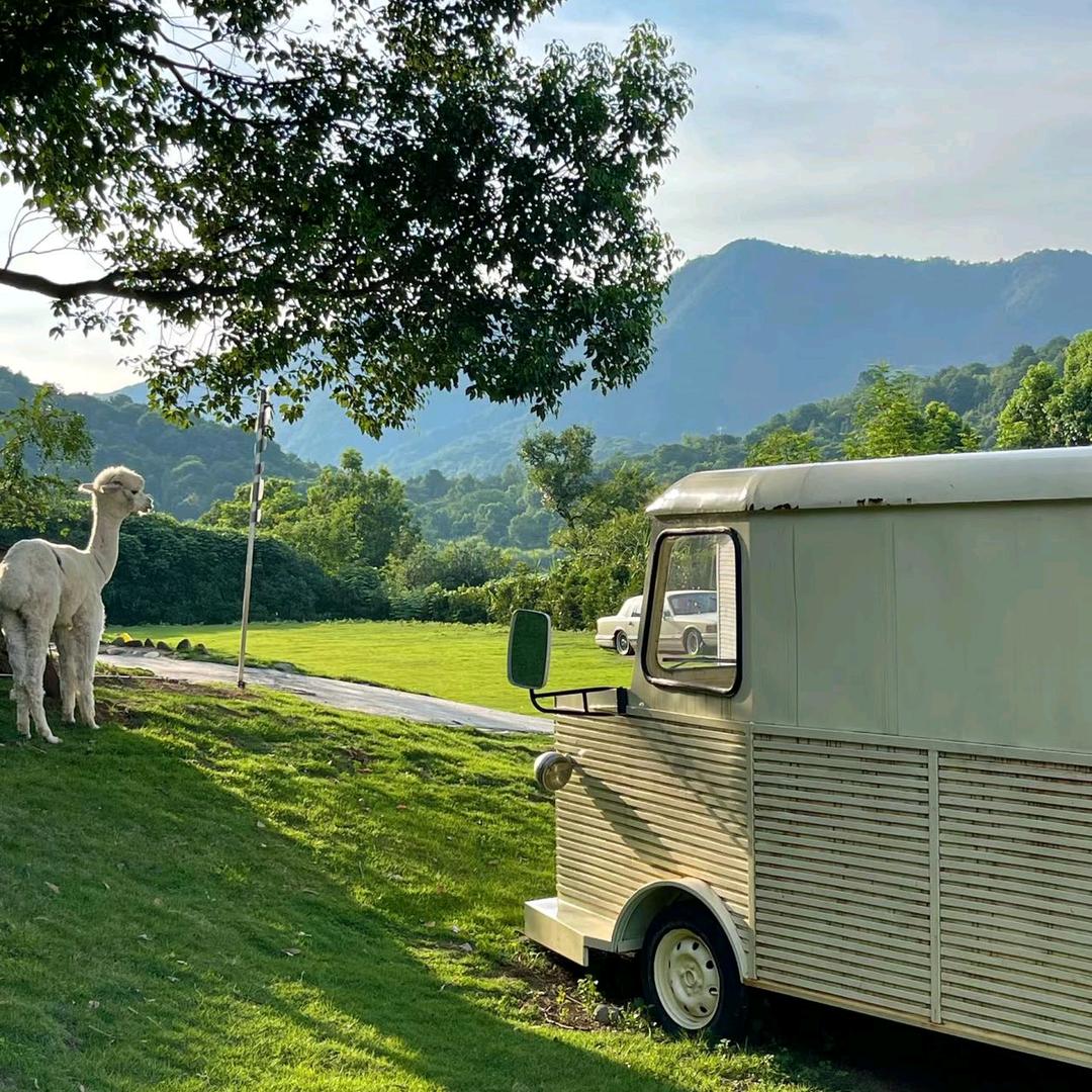 临平数学鸣宇老师
