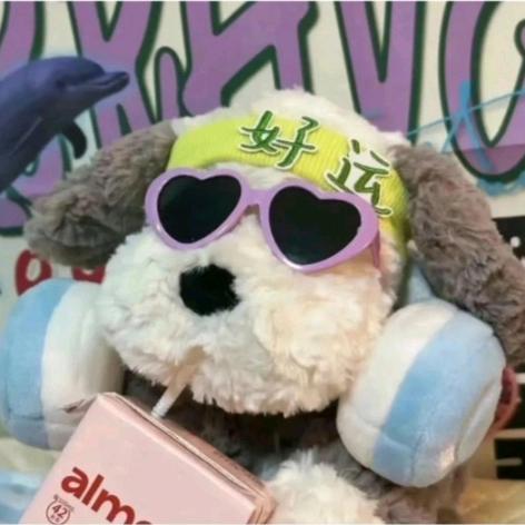 不⁴辣妹好烦（养成系）