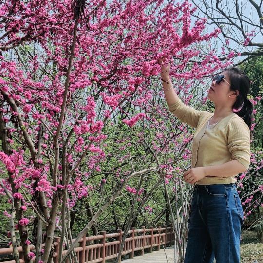 熟悉的陌生人