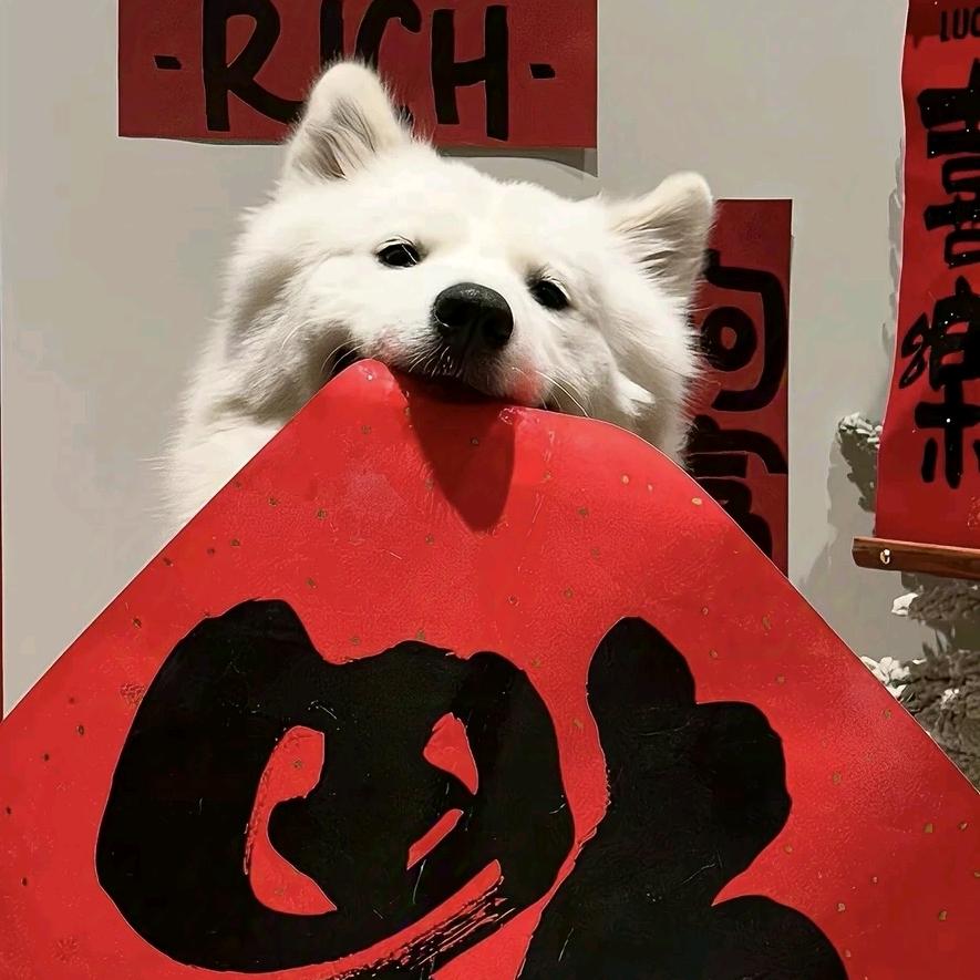 二十·
