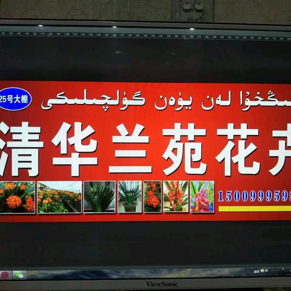 清华兰苑花卉（爬行健身）