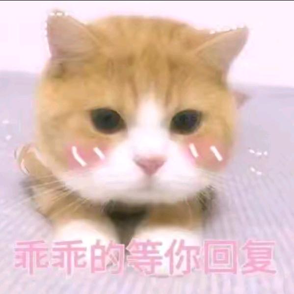 我最讨厌吃云吞面了