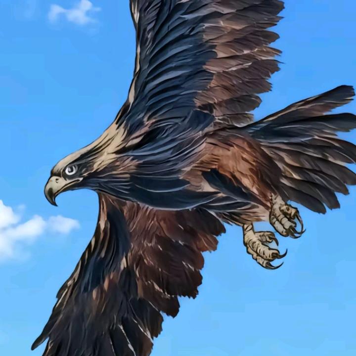 一切随缘