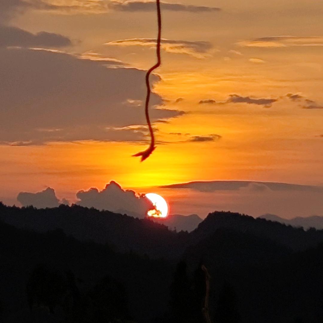 夕阳🌇会🔥〔有关必回〕