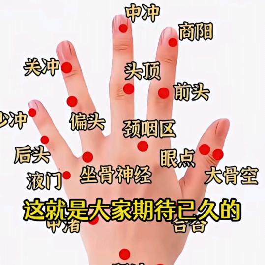 燕