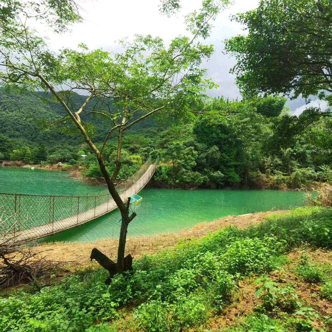 万绿湖岛主