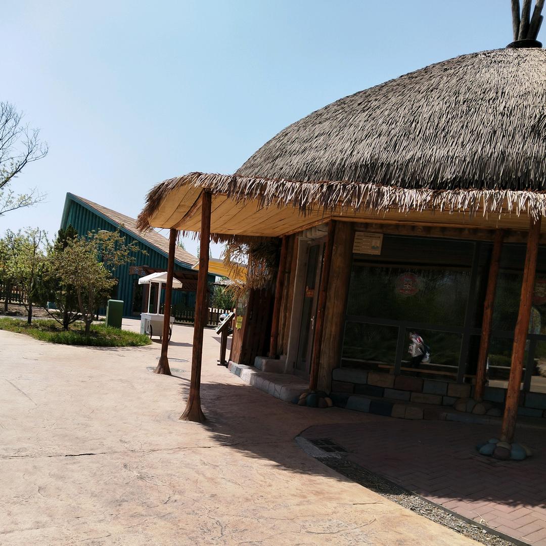 ((((人生(･◡･)不言弃)))))