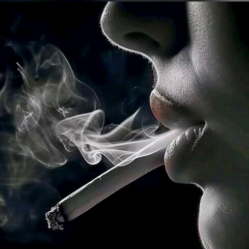 《吴小欠❤️》